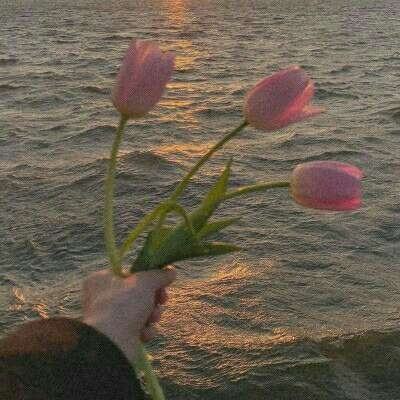 娱乐宝官网下载手机版