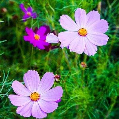 一分快3官方网址