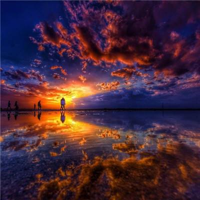 上下分的捕鱼app下载手机版