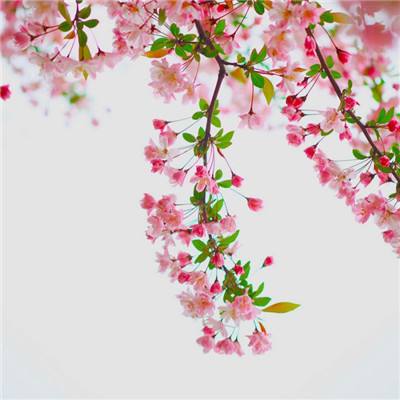 天博官网APP下载